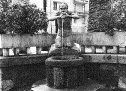 Fontana Camillo